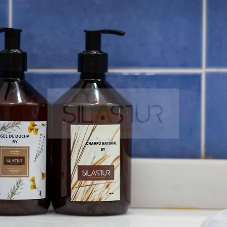 Casa Sildavia By Silastur * La Riera